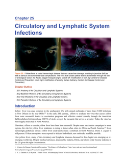 Cover of Part Four